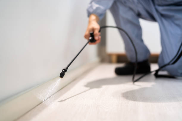 Rodent Entry Point Assessment in Marbleton