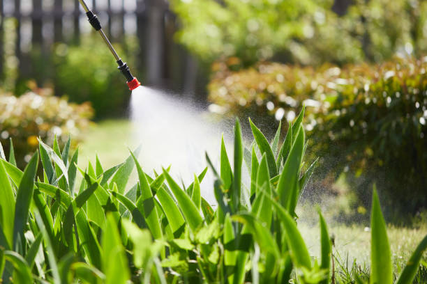 Tamper-Resistant Bait Stations for Rodents in Marbleton