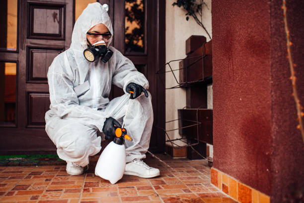 Attic and Crawl Space Rodent Treatment in Marbleton