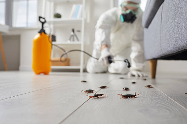 Commercial Rodent Management in Marbleton
